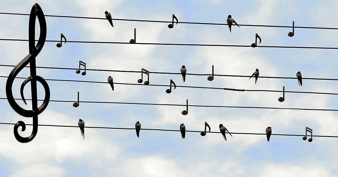 Sintonía Musical